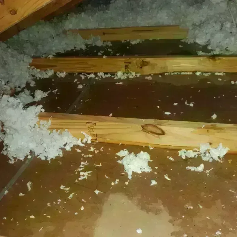 Attic Water Damage in Apple Creek, OH